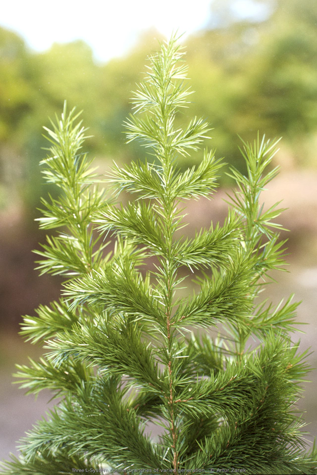 Macro rendering of three L-System conifer branches on rural background.