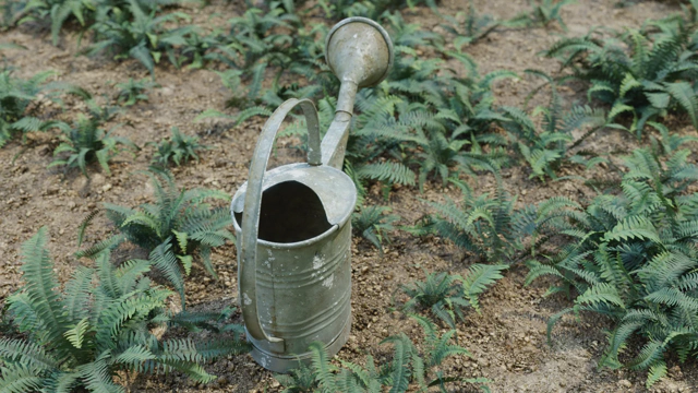 Rear side of the watering can.