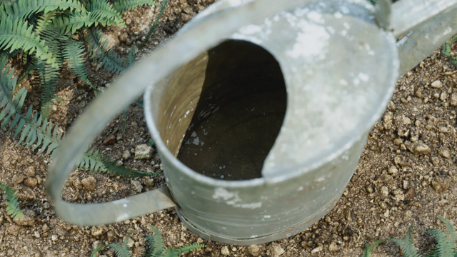 A glance into the rusty inside of the can.